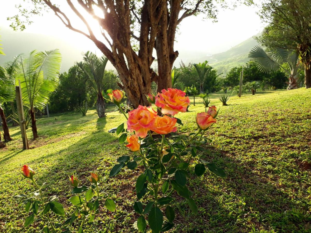 Casa/Sitio Na Serra Em Bom Jardim - Rj Dış mekan fotoğraf