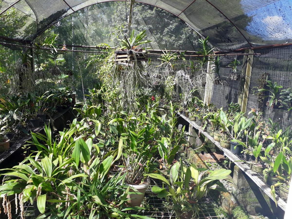 Casa/Sitio Na Serra Em Bom Jardim - Rj Dış mekan fotoğraf