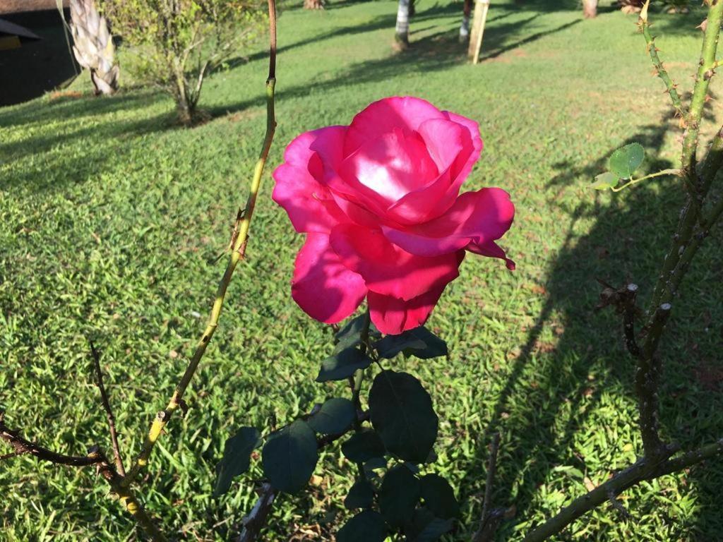 Casa/Sitio Na Serra Em Bom Jardim - Rj Dış mekan fotoğraf