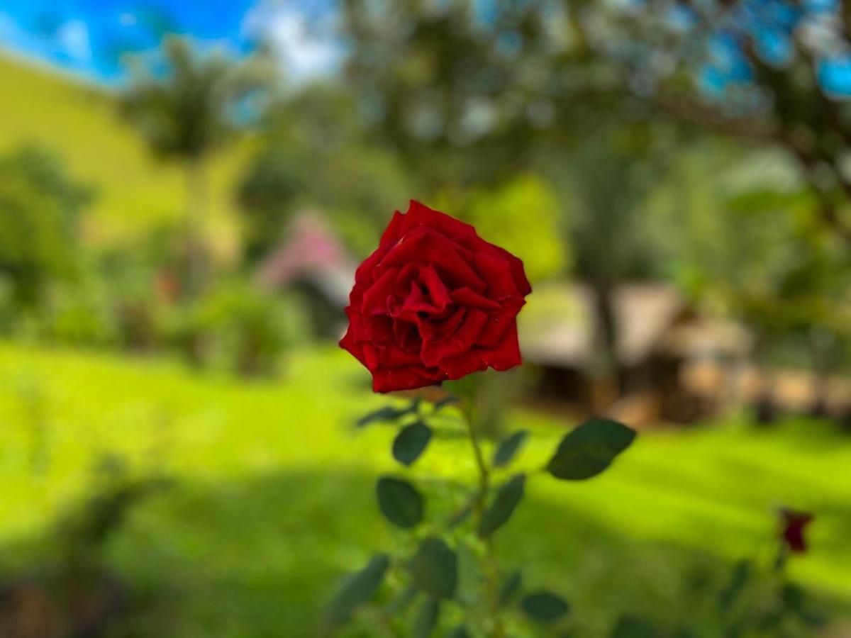 Casa/Sitio Na Serra Em Bom Jardim - Rj Dış mekan fotoğraf