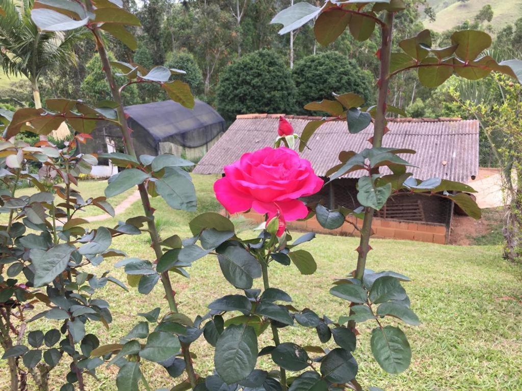 Casa/Sitio Na Serra Em Bom Jardim - Rj Dış mekan fotoğraf