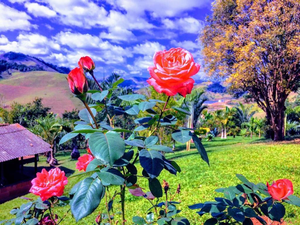 Casa/Sitio Na Serra Em Bom Jardim - Rj Dış mekan fotoğraf