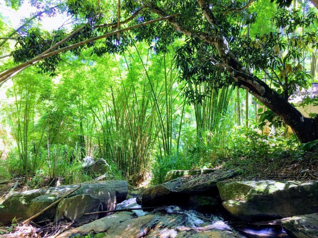 Casa/Sitio Na Serra Em Bom Jardim - Rj Dış mekan fotoğraf