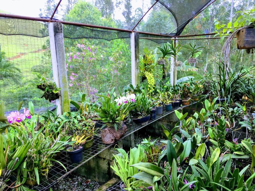 Casa/Sitio Na Serra Em Bom Jardim - Rj Dış mekan fotoğraf