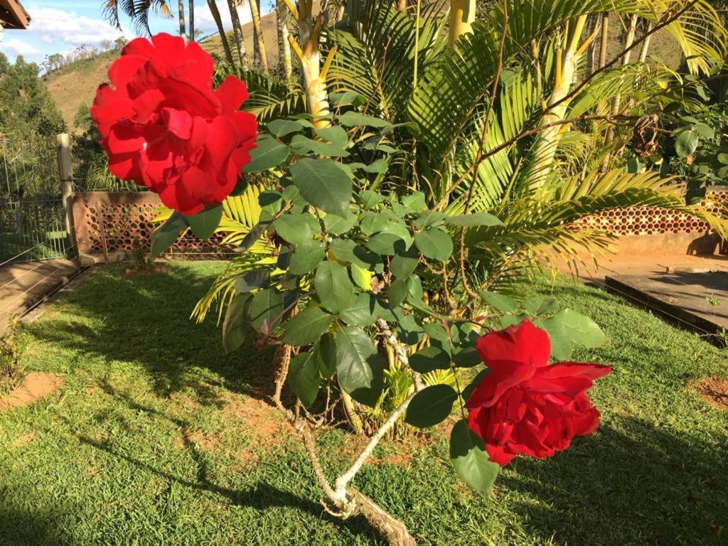 Casa/Sitio Na Serra Em Bom Jardim - Rj Dış mekan fotoğraf